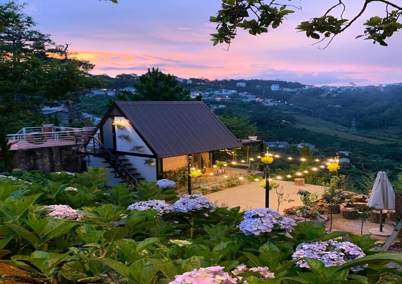 homestay là gì