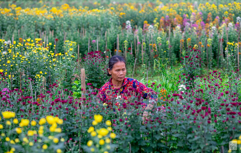 Huế Mùa Xuân Nên Đi Đâu