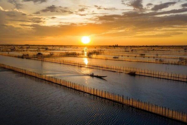 Những địa điểm nổi bật khi trải nghiệm du lịch rừng sinh thái tại Huế