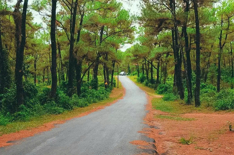 Khám phá đồi Thiên An