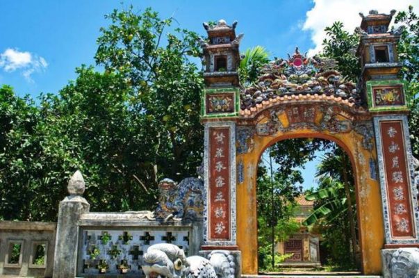 Những lý do nên cho du lịch Huế ở rừng Thủy biều