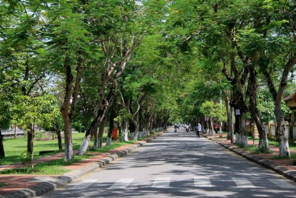 Kinh nghiệm khi đi du lịch Huế vào mùa hè