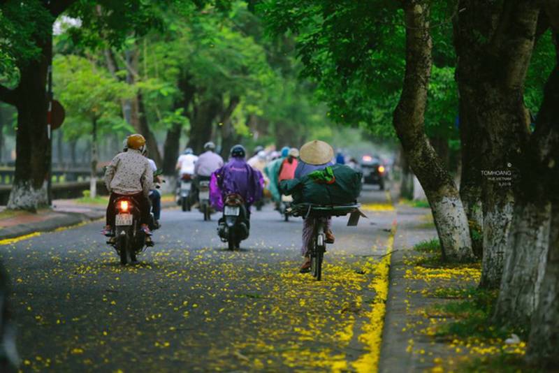 Thời điểm thích hợp để du lịch Huế tự túc với giá rẻ