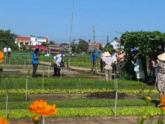 Những Trải nghiệm khi tham gia hoạt động du lịch học tập tại Huế