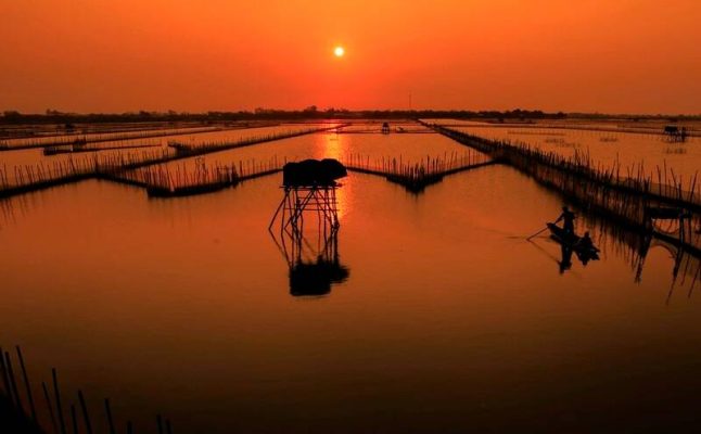 Những trải nghiệm không thể bỏ lỡ khi đến đầm chuồn