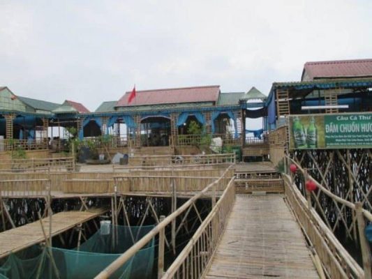 Thời điểm đẹp nhất để trải nghiệm đầm chuồn tại Huế