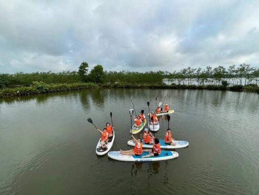 Gợi ý lịch trình chèo sup tại phá Tam Giang