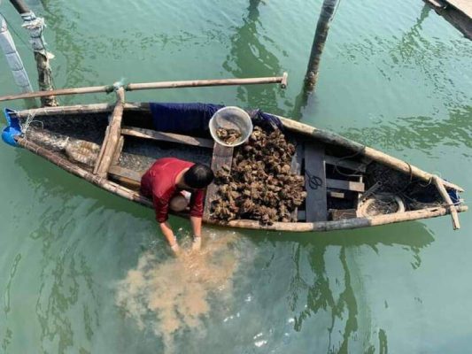 Những đối tượng phù hợp với tour du lịch sinh thái gần Lăng Cô