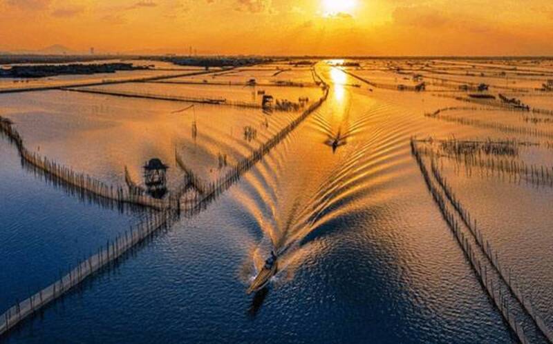 Khám phá hệ sinh thái phá Chuồn